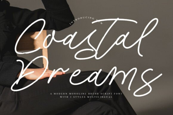 Coastal Dreams Font for Modern Web Design