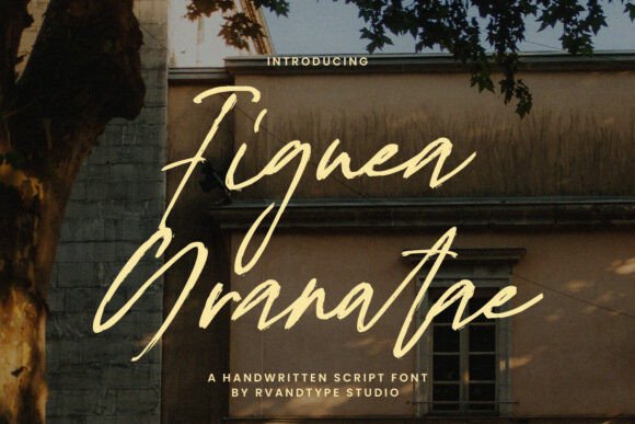 Figuea Granatae Script Font for Web Design